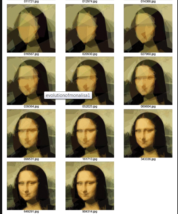 Genetic Programming- Evolution of Mona Lisa - 4